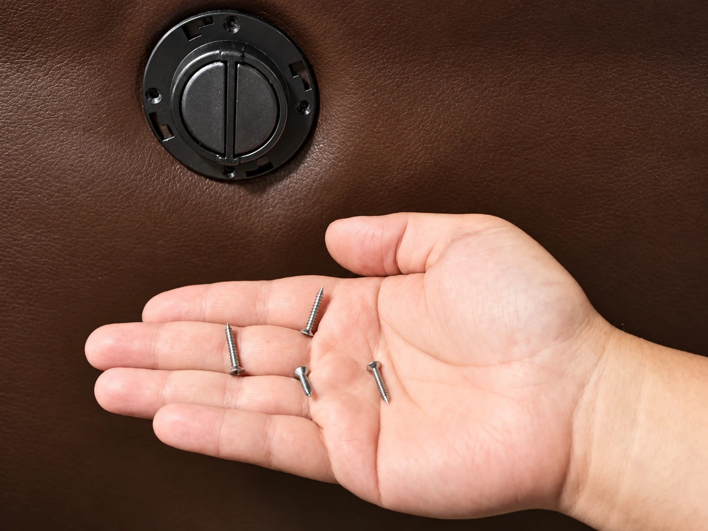 Switch mounting screws